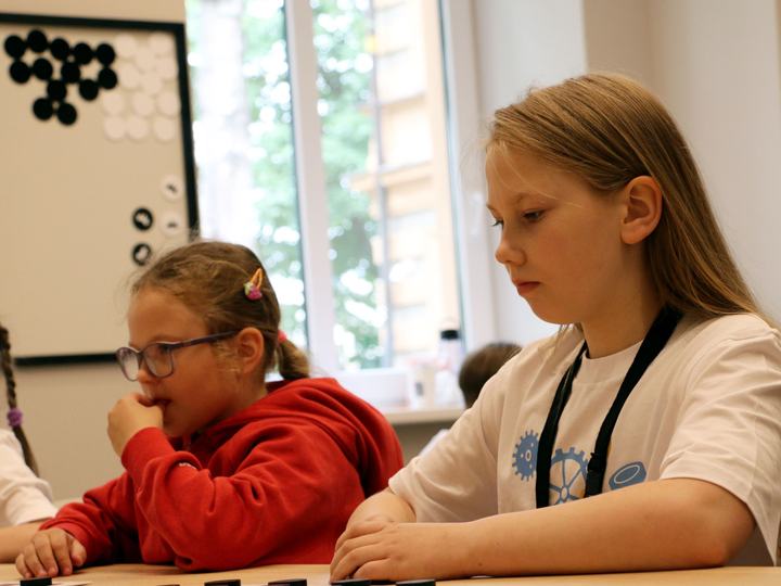 Dambretes skola Domātprieks