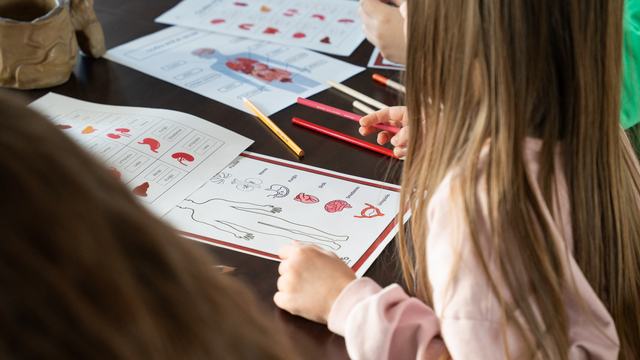 nometne, bērnu nometne, dienas nometne, RIFS ģimenes aktivitāšu centrs, RIFS