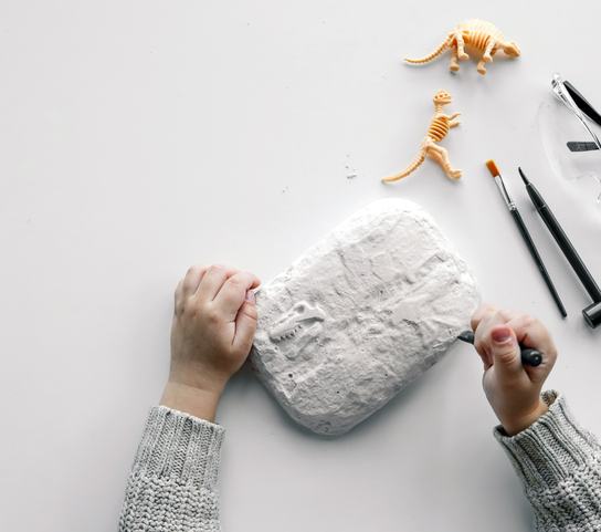 Rifiņa laika ekspedīcija